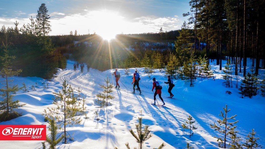 Skidåkare åker Vasaloppet i snö. Skidåkare åker Vasaloppet i snö.